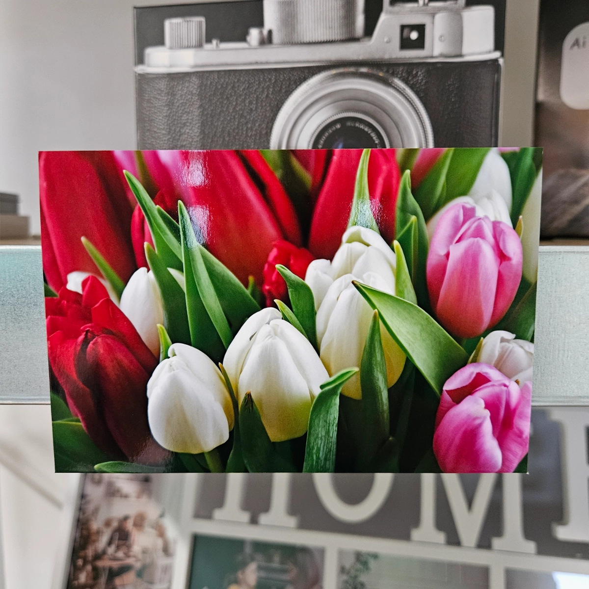 Poze magnetice premium 10/15 cm Allset Printing Oradea