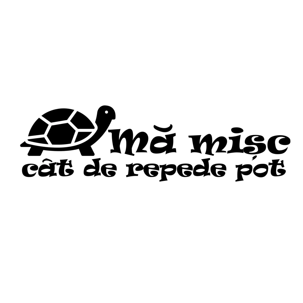 Sticker auto ma misc cat de repede pot Allset Printing Oradea